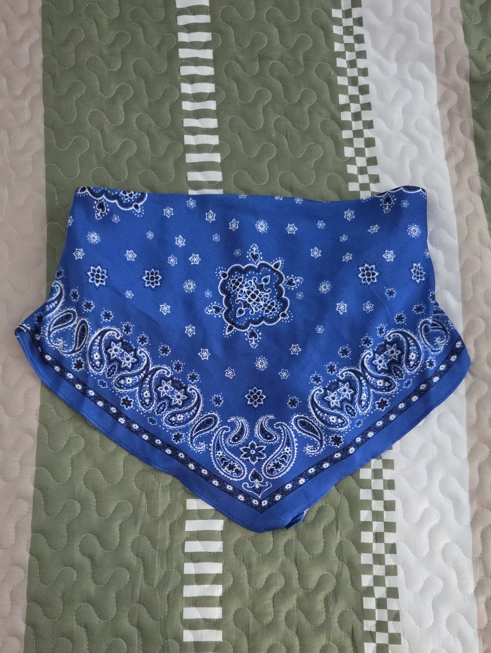 THIRTY/THIRTY Blue Paisley Print Top